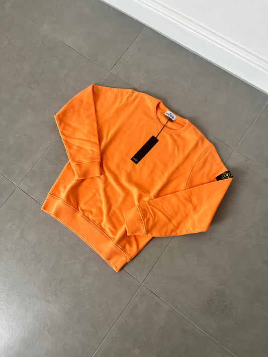 Stone Island Junior Crew Sweatshirt (Orange)